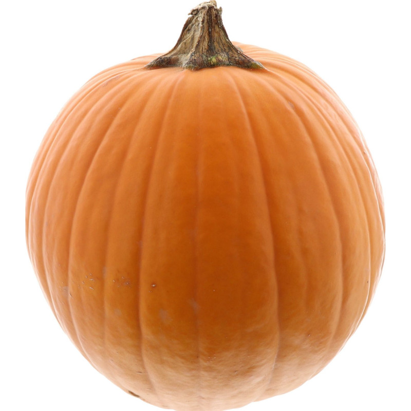 POTIRON JACK B LITTLE 15PCS